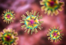 Creati virus artificiali con l’IA per uccidere organismi viventi