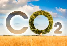 Dai batteri una via sperimentale per trasformare CO₂ in bioplastiche
