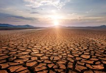 Entro il 2100 oltre il 40% delle terre emerse potrebbe diventare arido