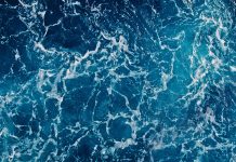 Il caldo estremo nei mari chiusi potrebbe durare gran parte dell’anno