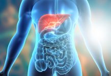 Fegato grasso: una via metabolica guida infiammazione e invecchiamento cellulare