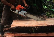 Malattie emergenti: frammentazione degli ecosistemi e sorveglianza sanitaria vanno studiate insieme
