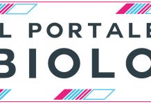 Chiusura della Piattaforma Fnob – Enpab “Il portale dei Biologi”: restituzione dei dati sensibili ai colleghi utenti