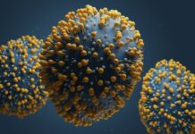 Virus sinciziale: dimezzati i ricoveri nei neonati grazie all’immunizzazione