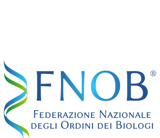 DPCM borse di studio delle scuole di specializzazione 2024-2025