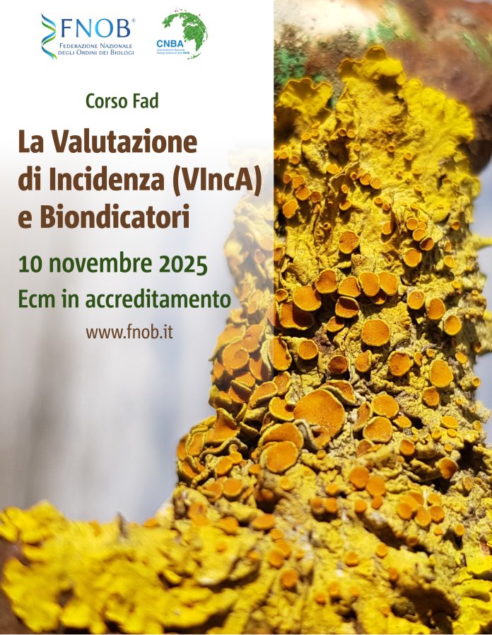 2025_11_ecosistemi_2