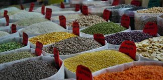 Semi antichi e sviluppo sostenibile: il Simposio di Rende unisce scienza e tradizione