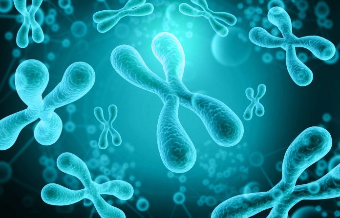 Human,Genes,Chromosomes.,3d,Illustration