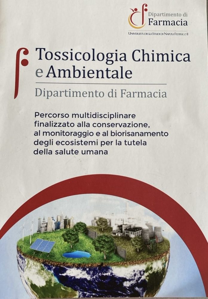 image_123650291 (18)