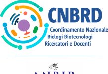 Biologi insegnanti: aggiornamento Graduatorie ad Esaurimento (GaE) dall’8 gennaio 2026