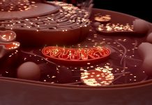 Malattie mitocondriali: premiati due giovani ricercatori del Centro Mariani