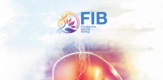 La Fib propone la “Scuola permanente in Embriologia clinica”