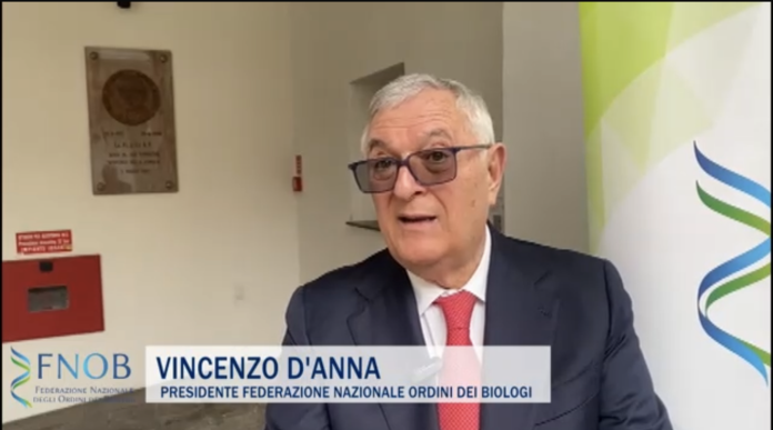 Screenshot 2026-02-13 (10.16.53)