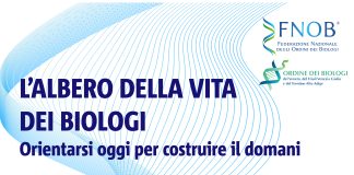 “L’albero della vita dei biologi: orientarsi oggi per costruire il domani”: evento a Roma il 24 marzo
