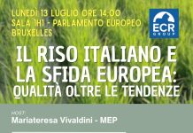 “Il riso italiano e la sfida europea: qualità oltre le tendenze”: convengo il 13 luglio a Bruxelles