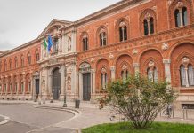 Emergenza caldo: la persistenza dello stress termico mette a rischio la salute pubblica. L’allarme di Pregliasco