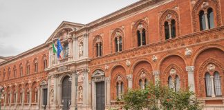 Emergenza caldo: la persistenza dello stress termico mette a rischio la salute pubblica. L’allarme di Pregliasco