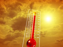 Cambiamento climatico: il CNR certifica l’estate 2026 come la più calda in Italia dal 1950. Allarme per l’agroecosistema