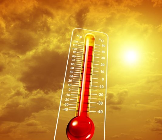 Cambiamento climatico: il CNR certifica l’estate 2026 come la più calda in Italia dal 1950. Allarme per l’agroecosistema