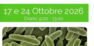 “Sicurezza sul lavoro e rischio biologico”: il 17 e il 24 ottobre al via il nuovo corso ECM gratuito per gli iscritti OBLA