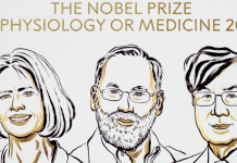Nobel per la Medicina all’optogenetica: premiato Hegemann, il biofisico che ha acceso i neuroni con un’alga