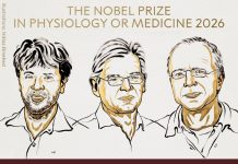Nobel per la Medicina all’optogenetica: premiato Hegemann, il biofisico che ha acceso i neuroni con un’alga